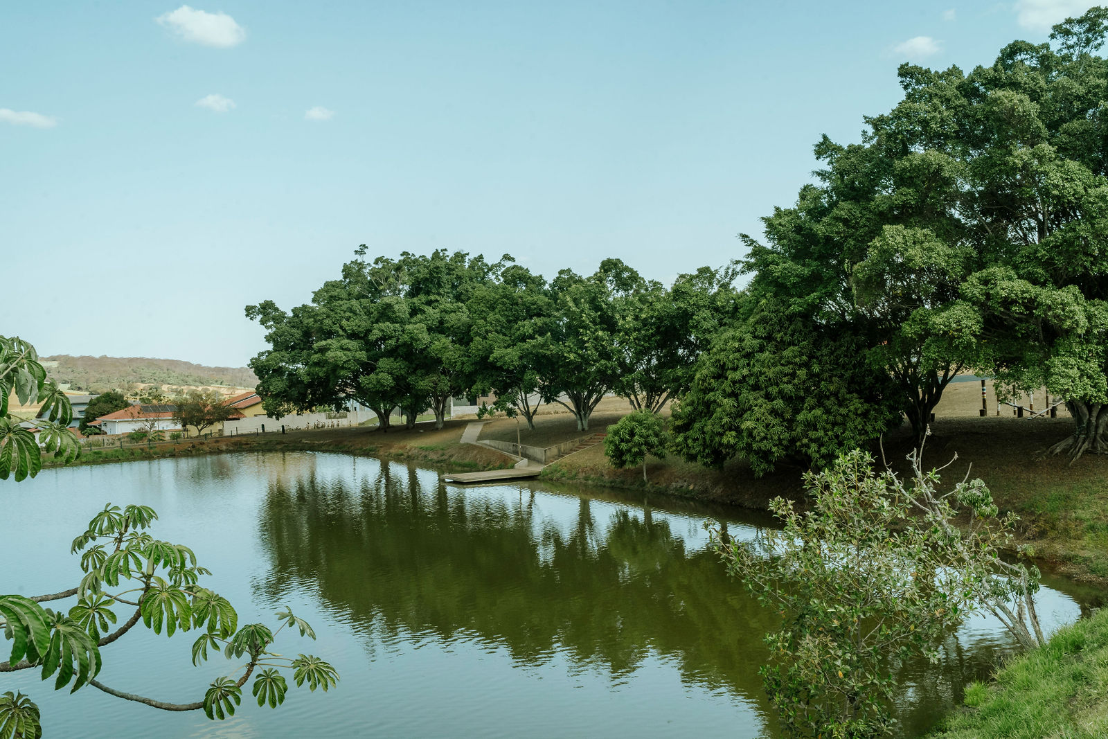 Contato com a natureza